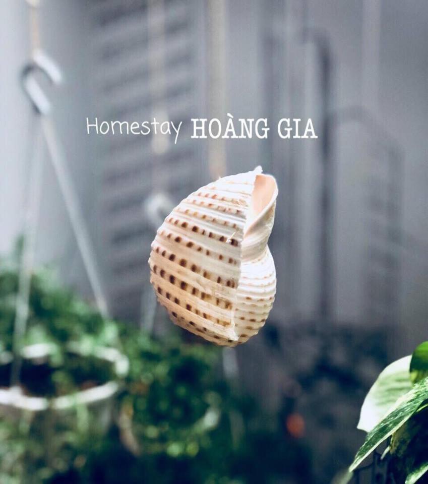 Homestay Hoang Gia Quy Nhon Dış mekan fotoğraf